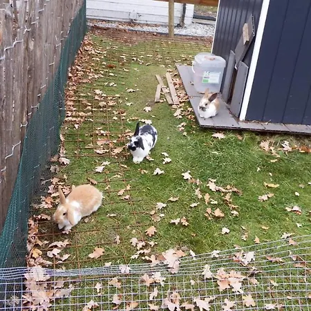 Heijendael بيت للعطل *