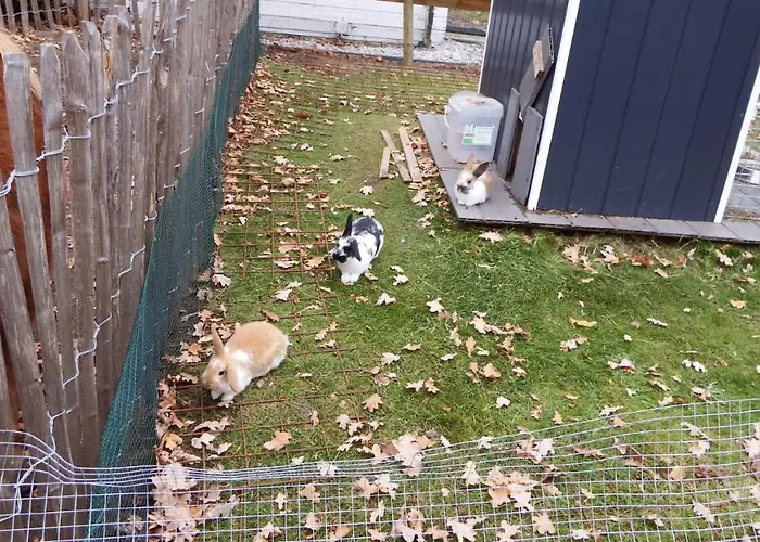 Heijendael Дом отдыха *