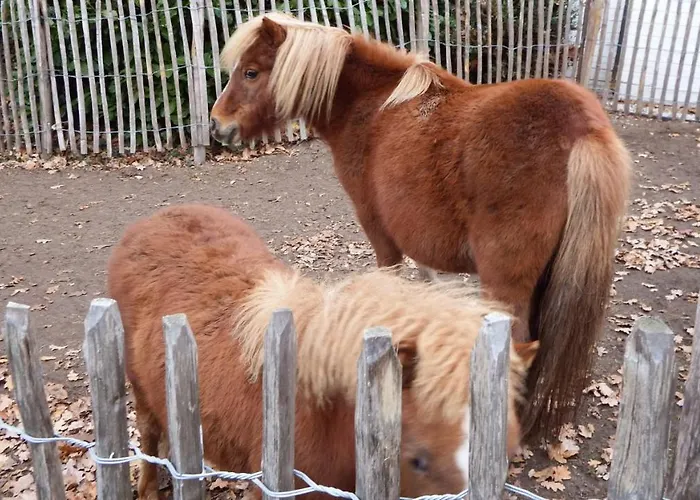 Дом отдыха Heijendael